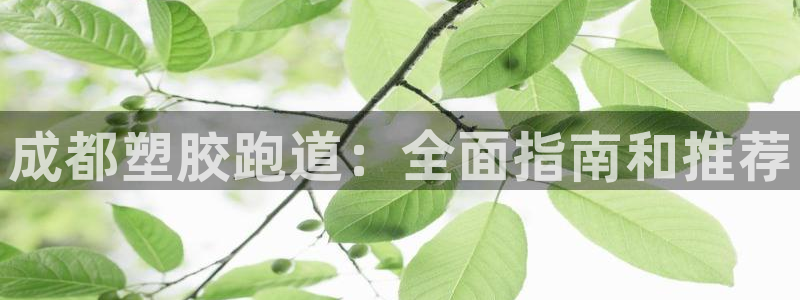 谈球吧app体育下载:成都塑胶跑道:全面指南和推荐